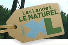 Le Comité Départemental du Tourisme (CDT) des Landes